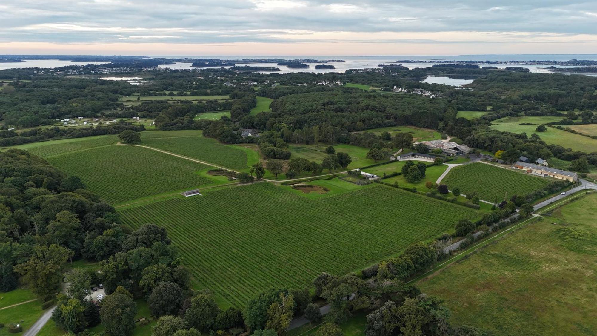 Luxueuse Longere 350M2 "Le Grand Kerfra" Au Vignoble Domaine Lamballe, Baden, Golfe Du Morbihan Eksteriør billede